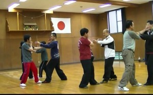 拳技交流2