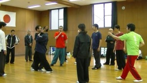 1121六合螳螂拳