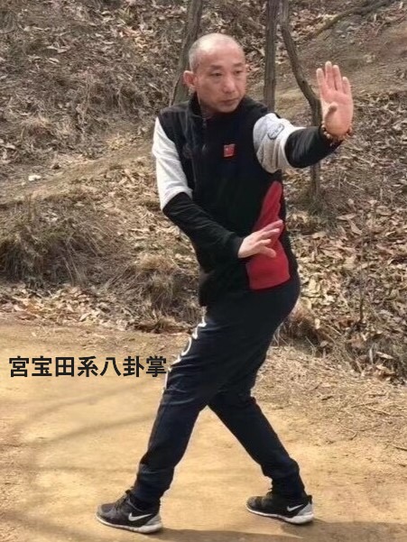 宮宝田派八卦掌